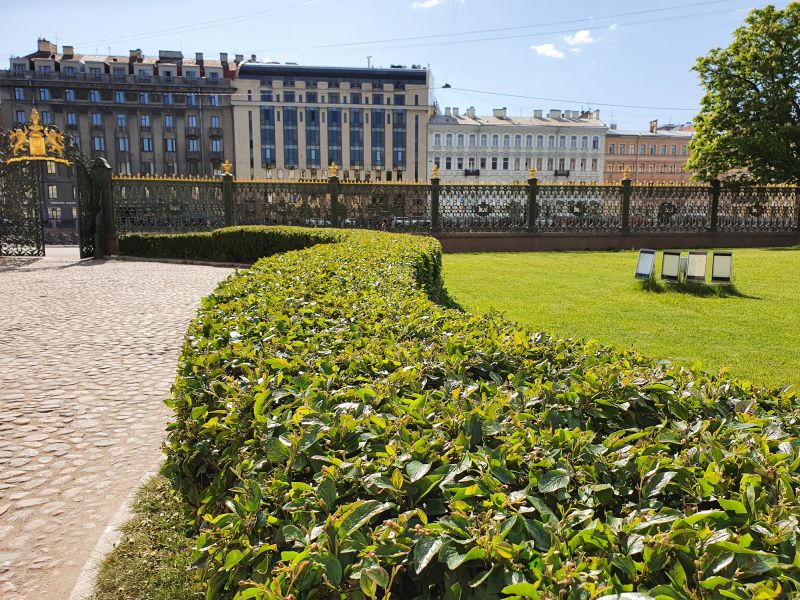 Shrub Shaping detail