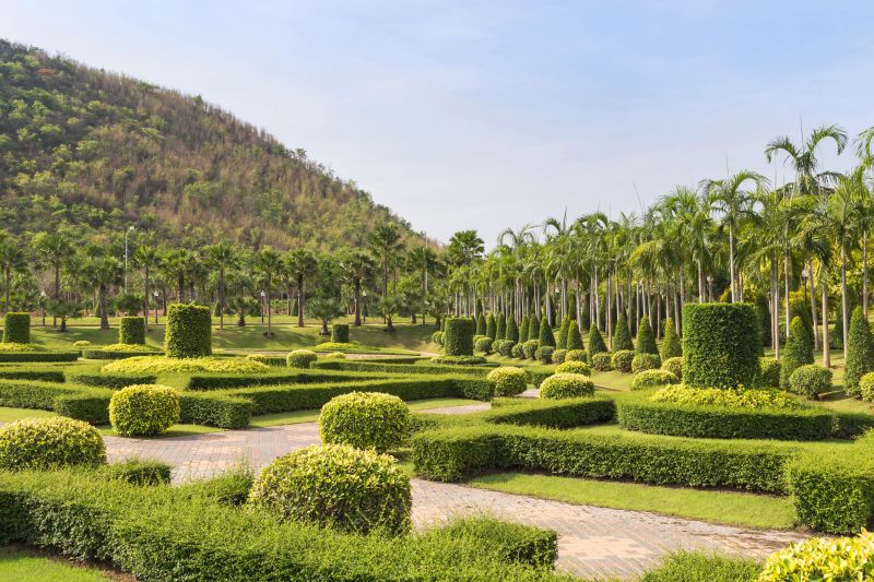 Trimmed Evergreen Shrubs