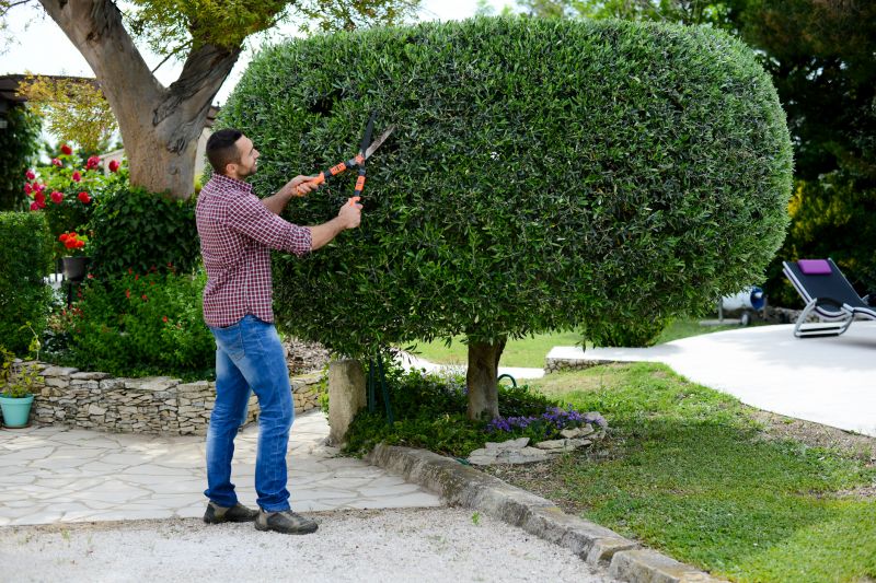 Pruning Bushes in a Garden