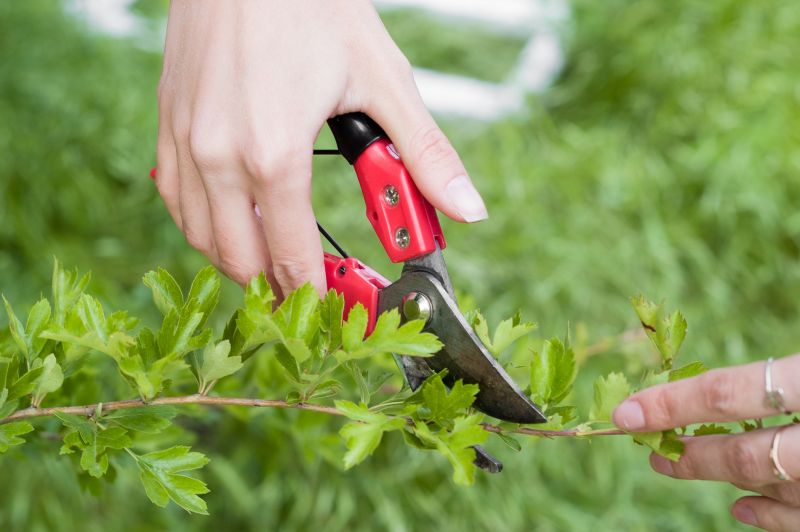 Close-up of Shrub Trimming Tools