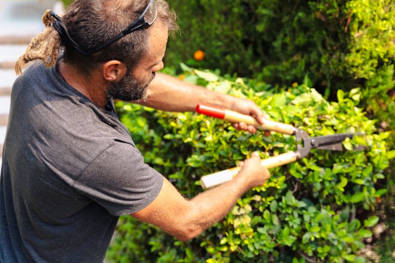 Landscaper Using Shears