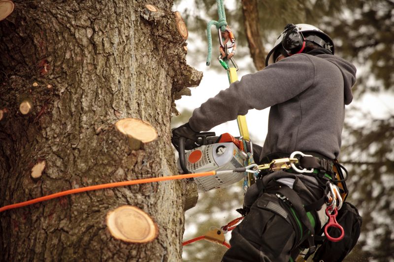 Trimming Safety Gear