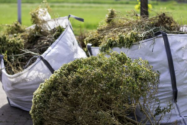 Cost of Plant Removal Service in Grand Blanc