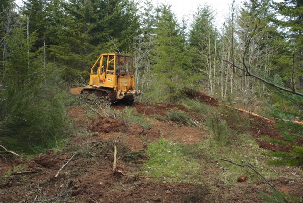 Cost of Shrubbery Clearing in Grand Blanc